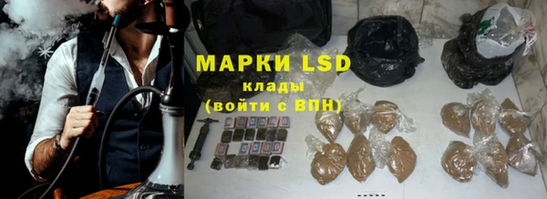 шишки Беломорск