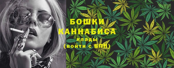 шишки Беломорск