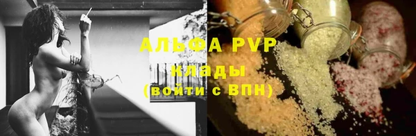 шишки Беломорск