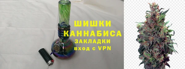 шишки Беломорск