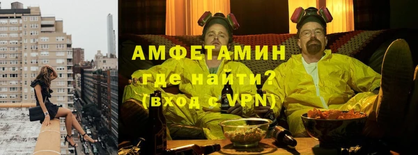 шишки Беломорск