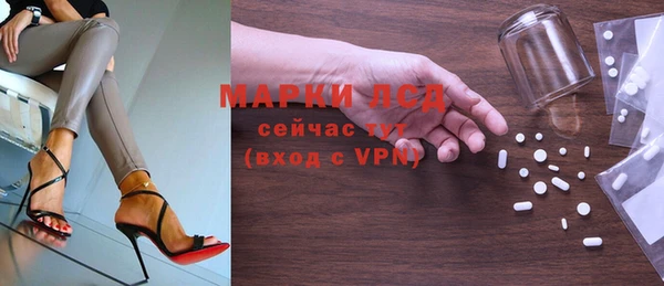 шишки Беломорск