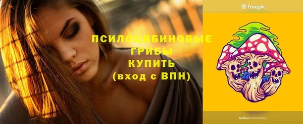 шишки Беломорск